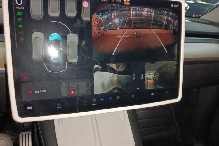 Used Tesla Model Y 2021 Standard Range Rear-Wheel Drive Version
