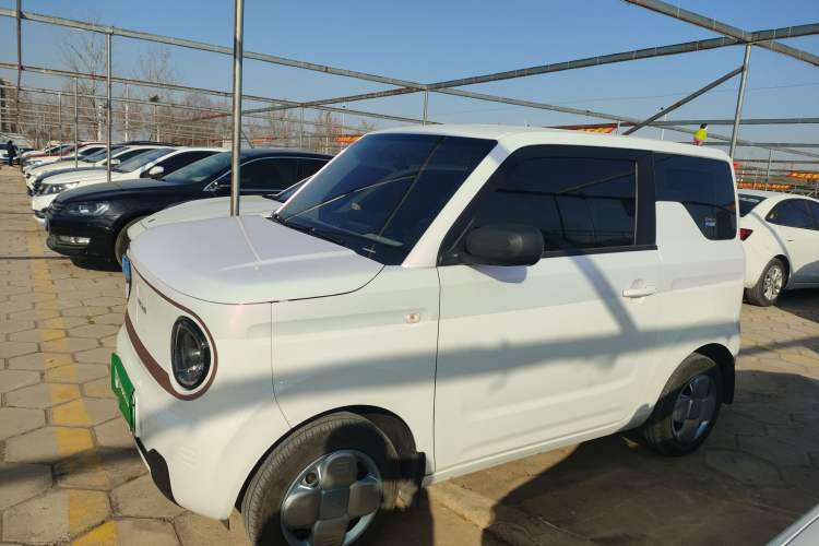 Used  Panda 2024 Panda Mini 200km Endurance Bear
