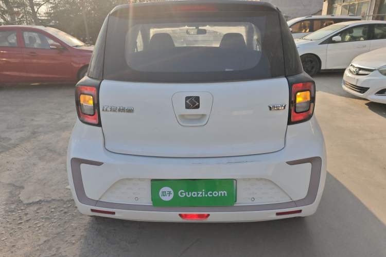 Used SOL E10X 2022 Flower Fairy Design Dandelion