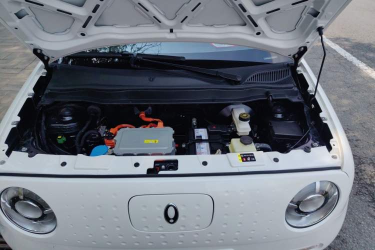 Used ORA Black Cat 2022 351 km Range Comfort Version Ternary Lithium
