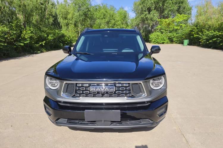 Used Haval  2023 2.0T Two-Wheel Drive Chaoye Version Plus
