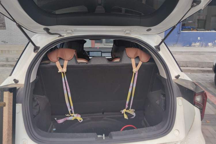 Used Geometry E Firefly 2024 301km Flowing Light
