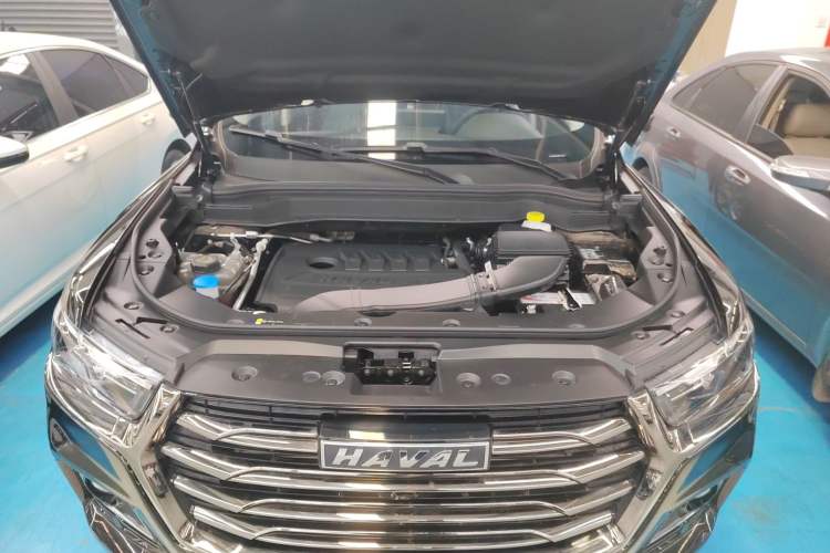 Used Haval H6 2021 National Trend Edition 1.5T Automatic Champion Version
