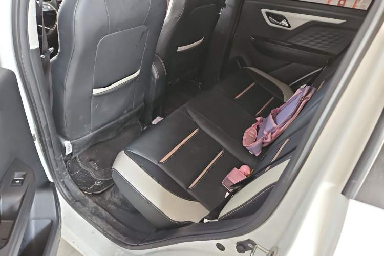 Used SOL E10X 2022 Flower Fairy Design Four-Leaf Clover
