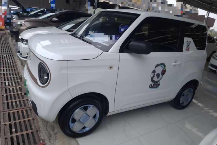 Used  Panda 2023 Panda Mini 200km Endurance Bear
