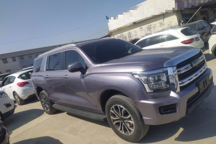 Used Haval H5 2023 2.0T Automatic Two-Wheel Drive LinkedIn Gasoline
