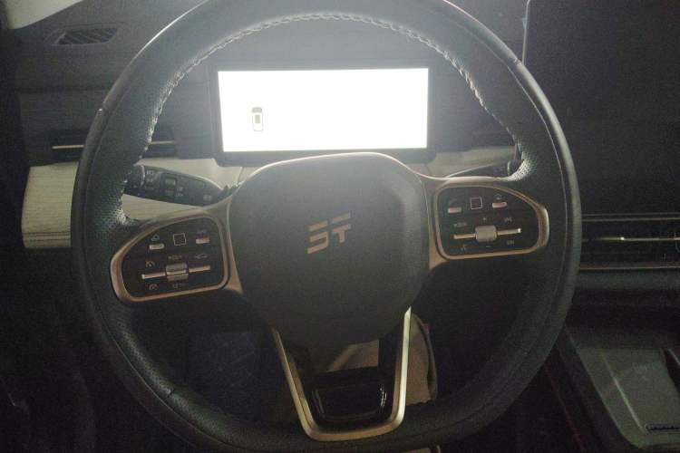 Used  Shanhai L9 2024 1.5TD 2DHT Max 7-Seater
