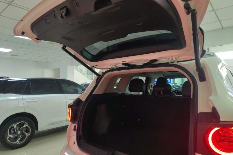 Used Haval  2023 2.0T All-Wheel-Drive Chaoye Plus
