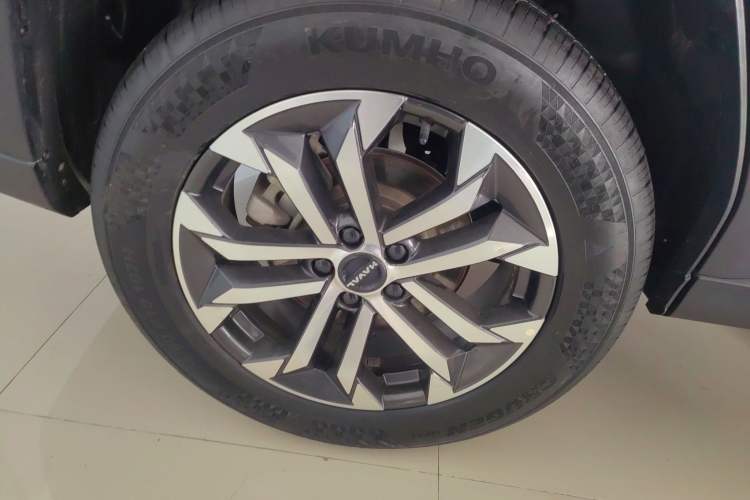 Used Haval  2023 2.0T All-Wheel-Drive Chaoye Plus
