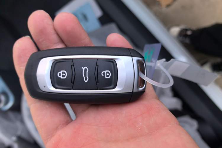 Used  Panda 2024 Panda Mini 200km Endurance Bear
