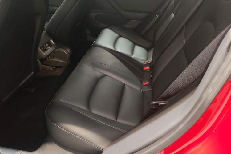 Used Tesla Model 3 2020 Revised Version Standard Range Rear-Wheel Drive – Upgraded Edition
