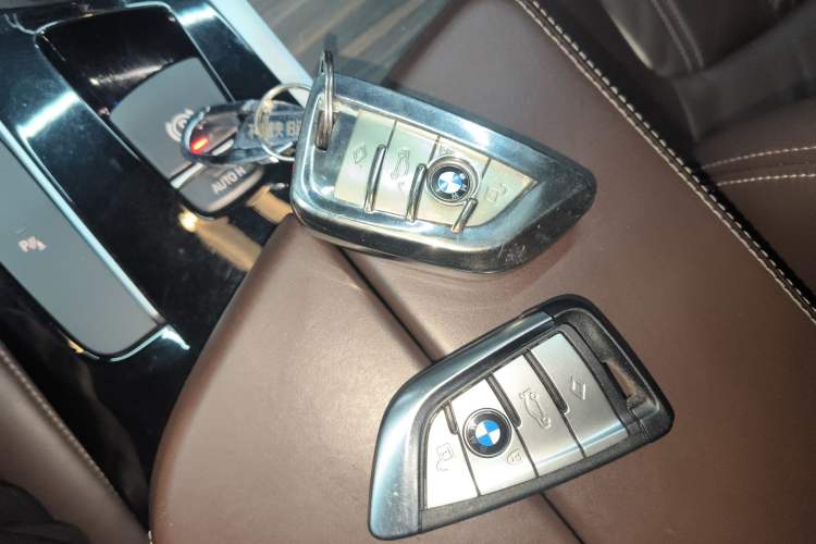 Used BMW 5 Series 2020 530Li Leading Edition Luxury Package
