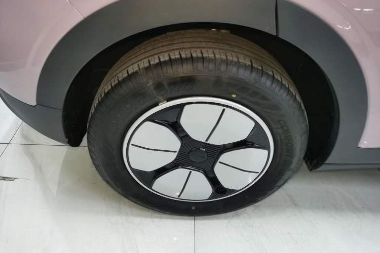 Used  Geome 2025 310km Youth Edition
