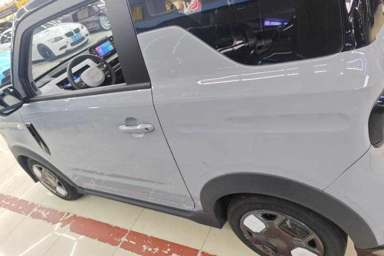 Used  Panda 2024 200km Panda Kart
