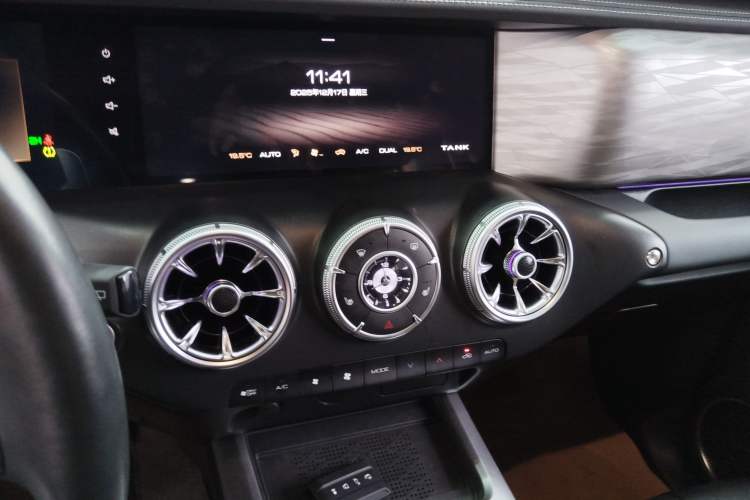 Used Tank 300 2024 2.0T Conqueror