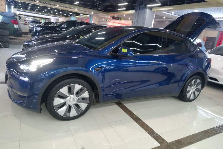 Used Tesla Model Y 2021 Standard Range Rear-Wheel Drive Version
