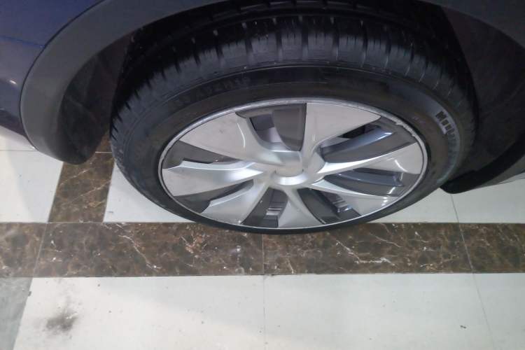 Used Tesla Model Y 2021 Standard Range Rear-Wheel Drive Version
