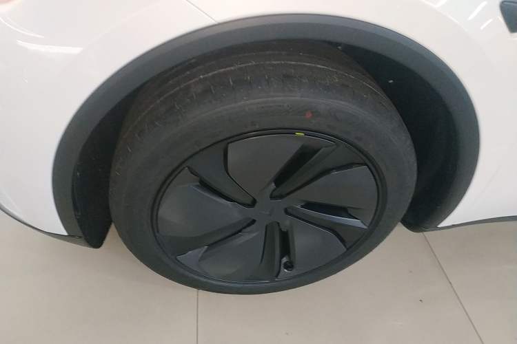 Used Tesla Model Y 