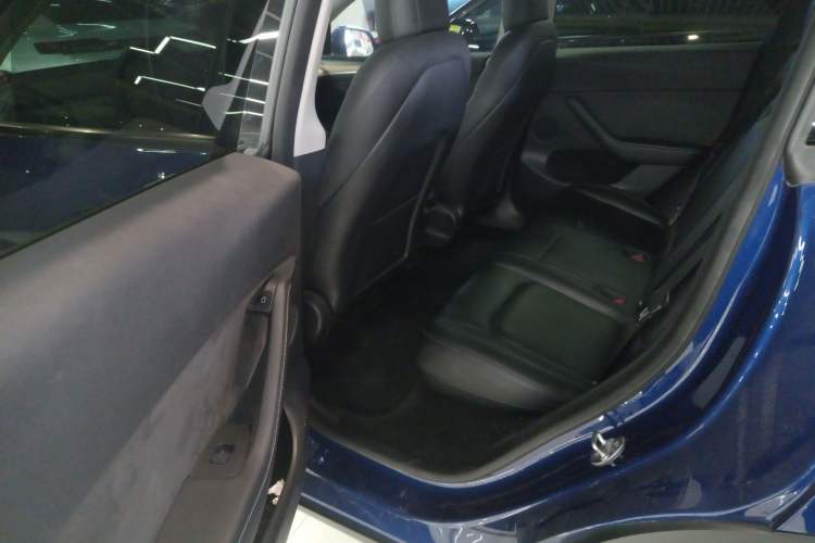 Used Tesla Model Y 2021 Standard Range Rear-Wheel Drive Version
