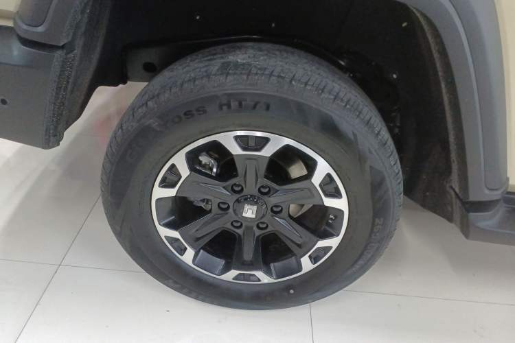 Used Tank 300 New Energy 2025 Hi4-T
