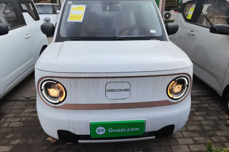 Used  Panda 2024 Panda Mini 200km Endurance Bear
