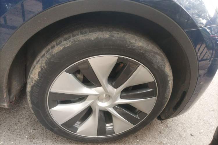 Used Tesla Model Y 2021 Long-Range All-Wheel-Drive Version