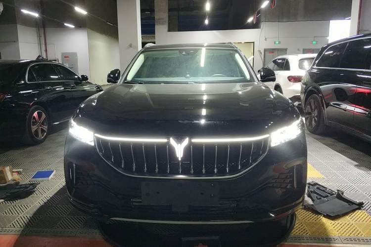 Used VOYAH FREE 2021 Four-Wheel Drive Standard Range-Extended Exclusive Luxury Package