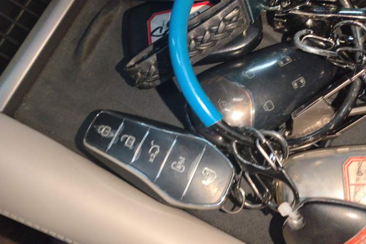 Used BYD Xia 2025 DM-i 1.5T 180km Beyond Edition
