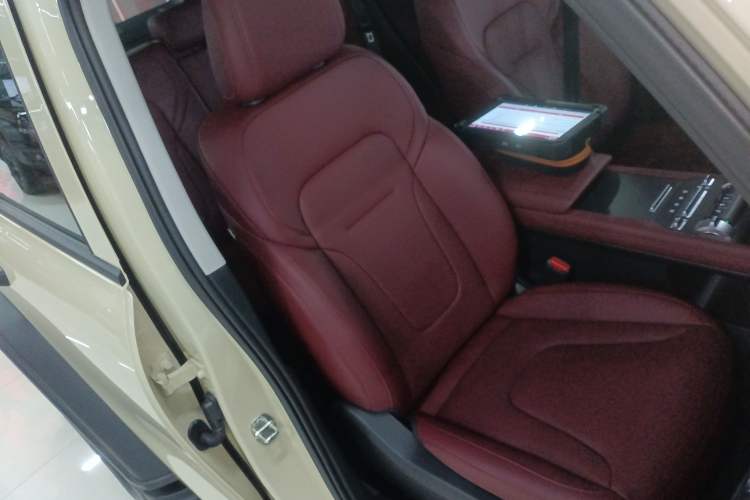 Used Tank 300 New Energy 2025 Hi4-T
