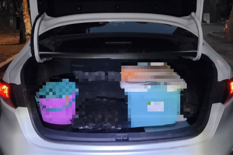 Used Toyota Levin 2021 185T CVT Luxury Edition