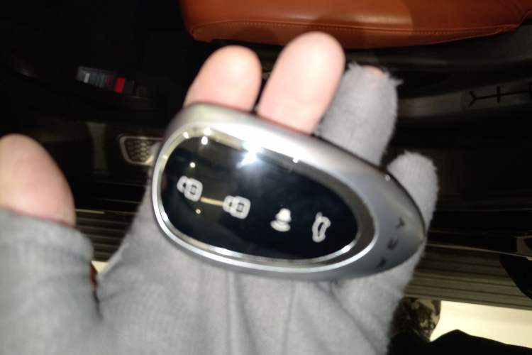 Used Wey Lanshan 2025 Four-Wheel Drive Max
