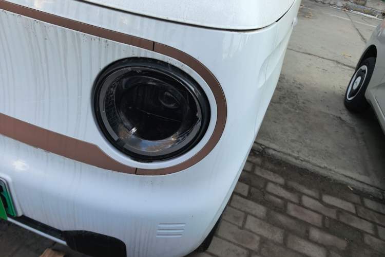 Used  Panda 2024 Panda Mini 200km Endurance Bear
