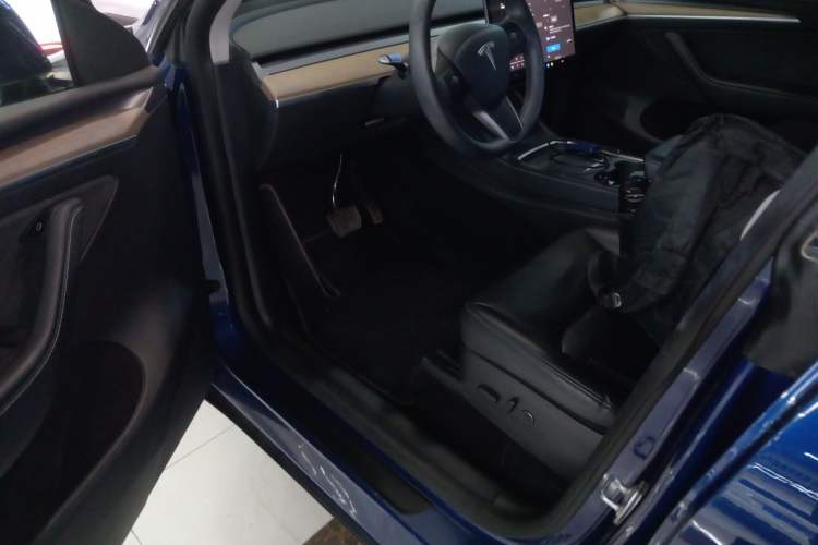 Used Tesla Model Y 2021 Standard Range Rear-Wheel Drive Version
