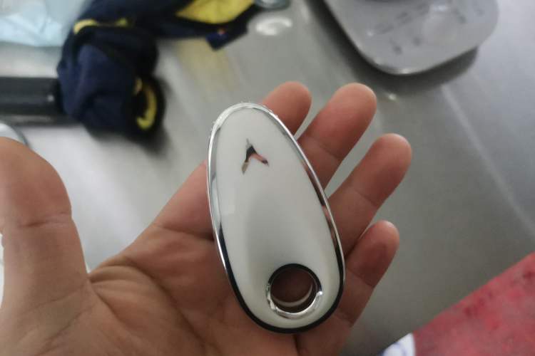 Used VOYAH PASSION 2023 Four-Wheel Drive Flagship Edition
