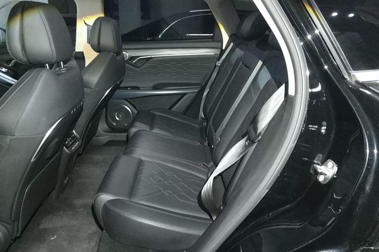 Used VOYAH FREE 2021 Four-Wheel Drive Standard Range-Extended Exclusive Luxury Package