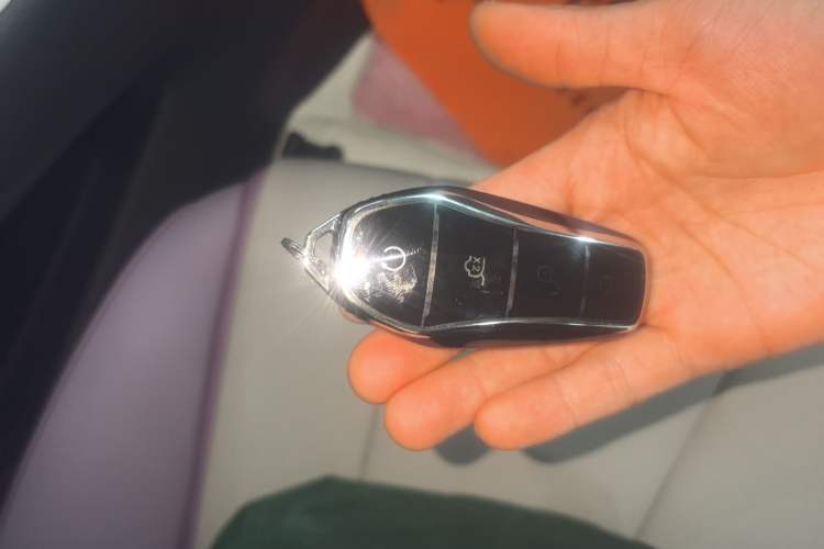 Used BYD Dolphin 2021 401km Knight Edition
