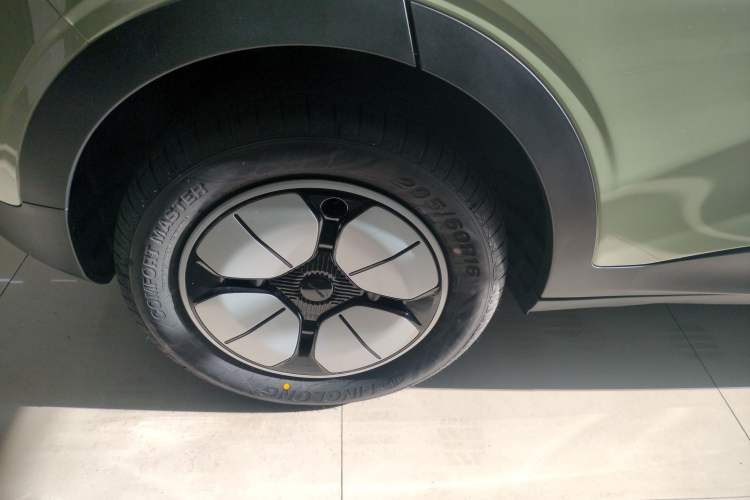 Used  Geome 2025 310km Youth Edition
