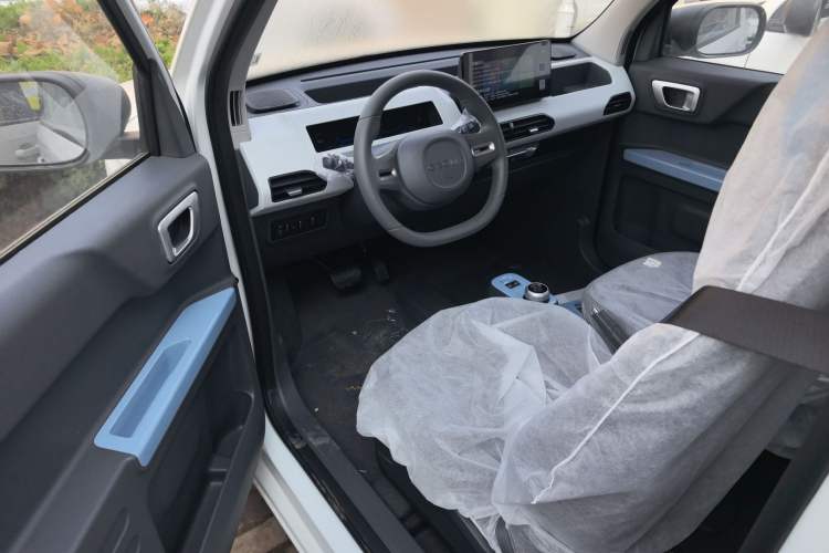 Used  Panda 2024 Panda Mini 200km Endurance Bear
