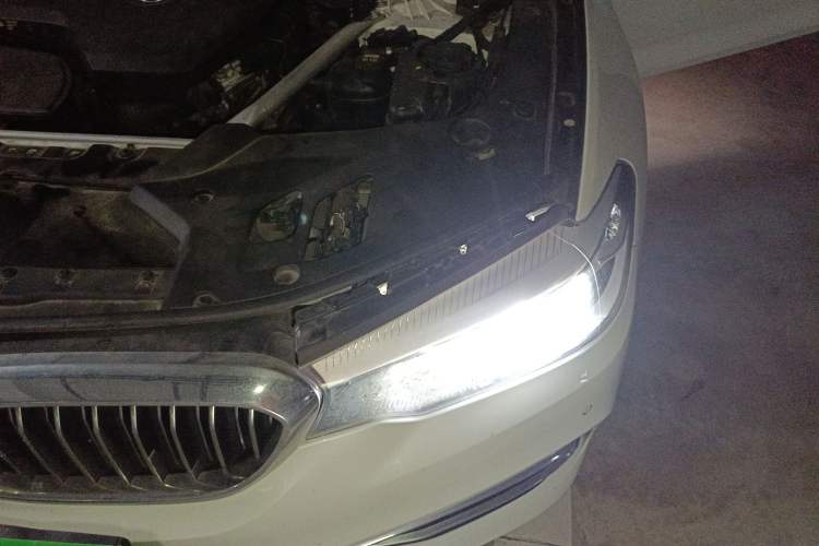 Used BMW 5 Series 2019 525Li Luxury Package
