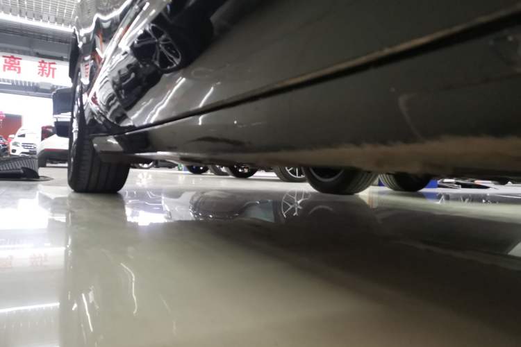 Used  07 2024 Max Extended-Range Edition
