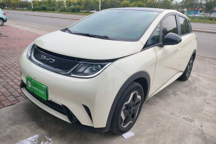 Used BYD Dolphin 2021 405 km Fashion Edition
