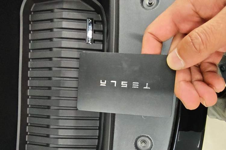 Used Tesla Model Y 2022 Revised Version Long-Range All-Wheel Drive
