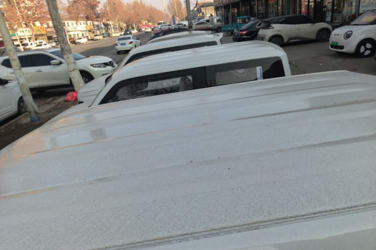 Used  Panda 2024 Panda Mini 200km Endurance Bear
